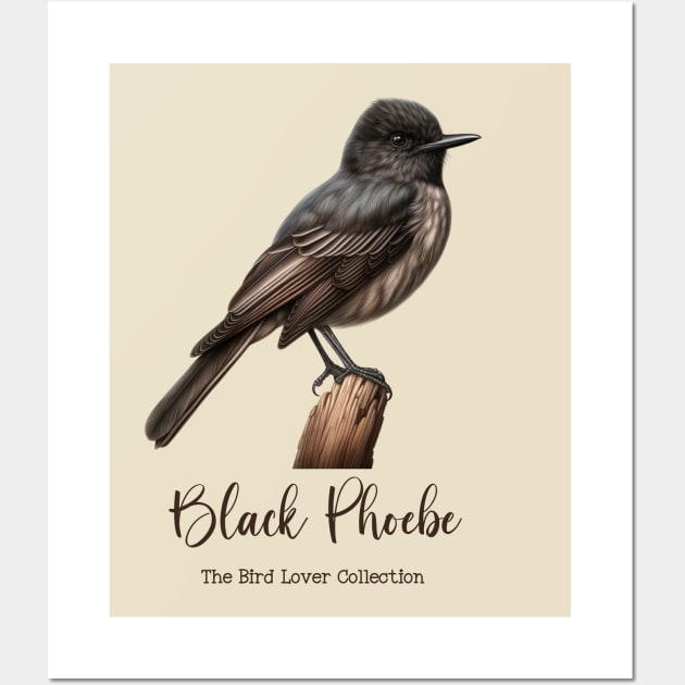 Black Phoebe - The Bird Lover Collection Wall Art by goodoldvintage